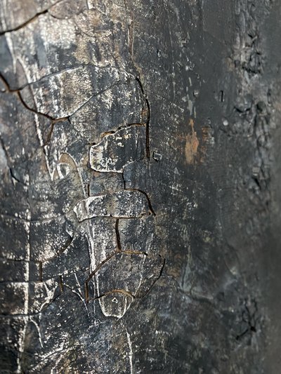  af Gabriela Aleksandra Szuba