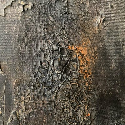  af Gabriela Aleksandra Szuba