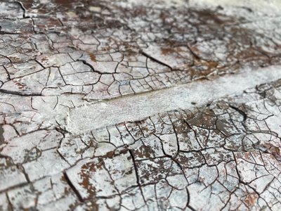  af Gabriela Aleksandra Szuba