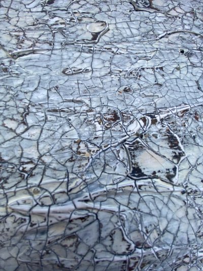  af Gabriela Aleksandra Szuba