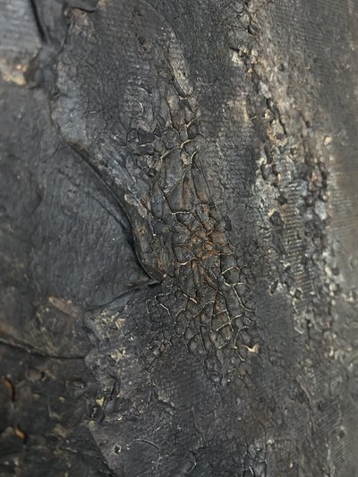  af Gabriela Aleksandra Szuba