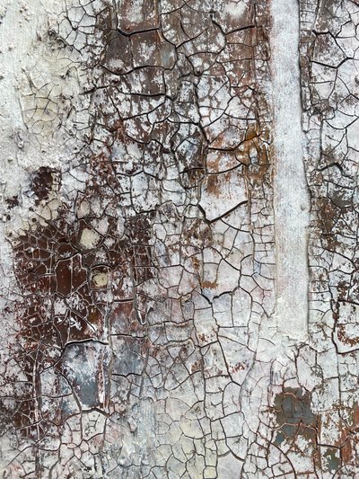  af Gabriela Aleksandra Szuba