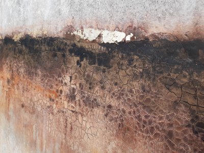  af Gabriela Aleksandra Szuba