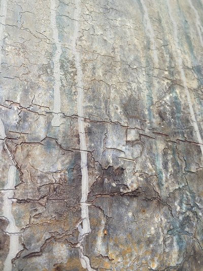  af Gabriela Aleksandra Szuba