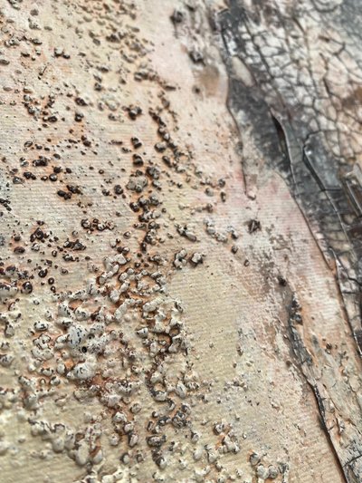  af Gabriela Aleksandra Szuba