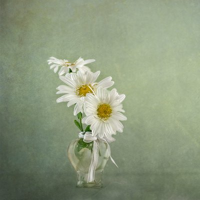  af Gaille Gray
