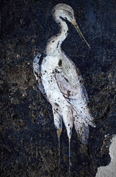 Romersk vægmaleri af Gallo-Roman