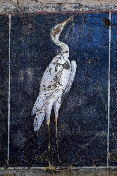 Romersk vægmaleri af Gallo-Roman