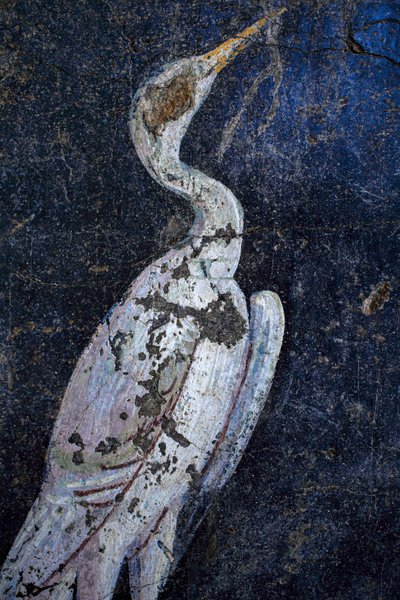 Romersk vægmaleri af Gallo-Roman