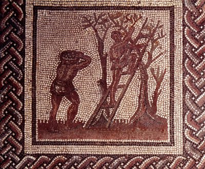 Gallo romersk kunst: mosaikbelægning, der repræsenterer en rustik kalender. Olivenplukningsscene. Slutning 2., begyndelsen af 3. århundrede efter JC. Fra Saint-Romain-en-Gal (Rhône). Saint Germain en Laye, Nationalmuseet for arkæologi af Gallo Roman