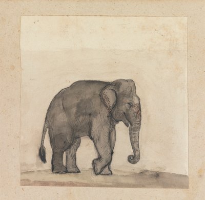 Elefant af Gangaram Chintaman Tambat