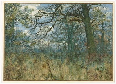 Træer og underskov, 1885. af Garden William Fraser