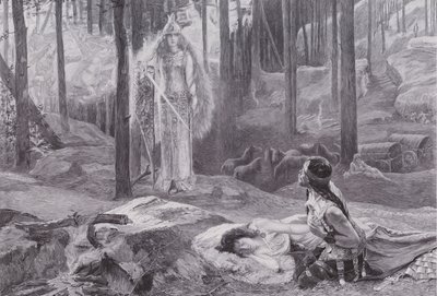 Åbenbaringen (Brunnhilde opdager Sieglinde og Siegmund) (litho) af Gaston Bussiere