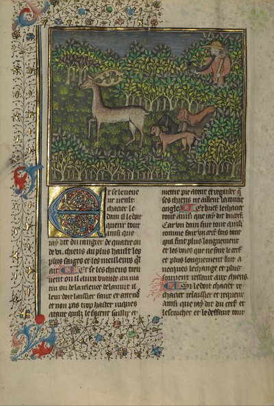 Jagtens bog af Gaston Phébus