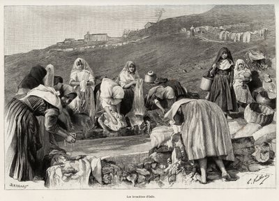 Lavendel fra Osilo (Italien), kvinder samlet omkring bassinet. Gravering og historie "" La Sardaigne"" af Gaston Vuillier (1845-1915), i 1890, i Le tour du monde, nouveau journal des voyages, under ledelse af Edouard Charton (1807-1890), 2. semester af Gaston Vuillier