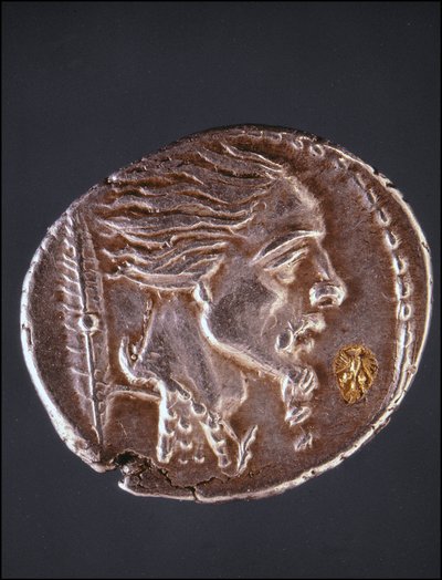 Antag profil af Vercingetorix på et Gauloise-stykke. Museum for medaljesamlingen. Milano af Gaulish Gaulish