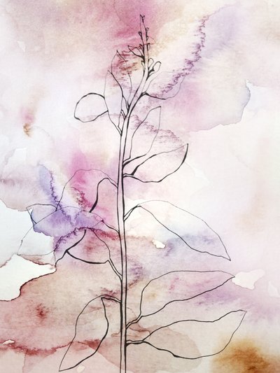 Rosa akvarel med botaniske motiver af Gemma Bardot