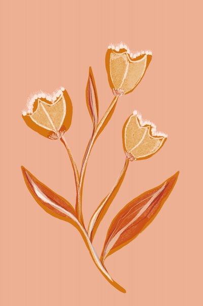 Bløde ferskenblomster af Gemma Bardot