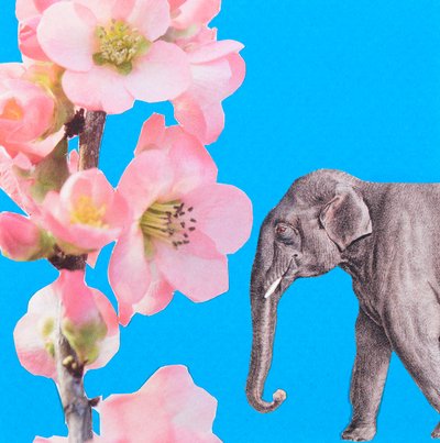Elefantblomst, 2018, collage af Genevieve French