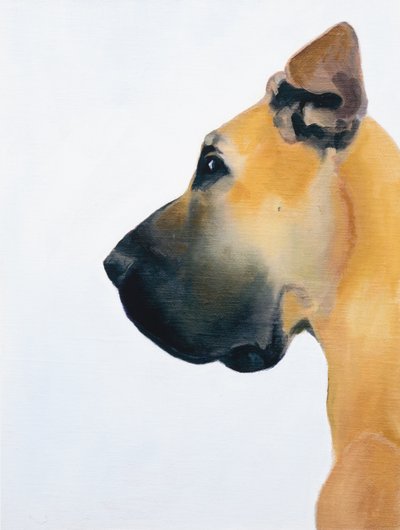 Great Dane, 2016 (olie på plade) af Genevieve French
