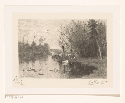 Ænder langs og på bredden af ​​en sø Andetis (original titel) af Geo Poggenbeek (signed by artist)