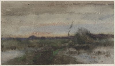 Sumplandskab med solnedgang af Geo Poggenbeek
