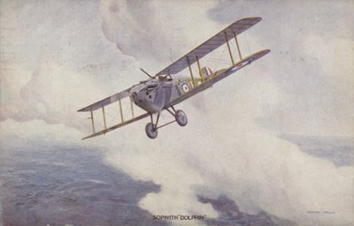 Sopwith Dolphin jagerfly (farve litho) af Geoffrey (after) Watson