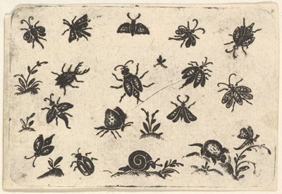 Små motiver af insekter og planter, 1596. af Georg Herman