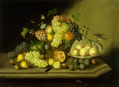 Et stilleben med en kurv med druer og blandet frugt på en stenafsats af Georg Seitz