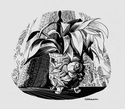 Aspidistra in a Bowl, 1950
