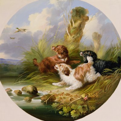 Three Spaniels Flushing Mallard (olie på lærred) af George Armfield