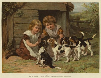 Hvalpe af George Augustus Holmes