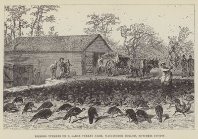 Fodring af kalkuner på en stor kalkunfarm, Washington Hollow, Dutchess County af George Augustus Sala