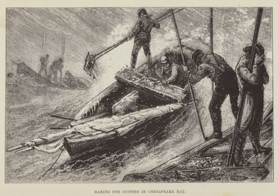 Rokning efter østers i Chesapeake Bay af George Augustus Sala