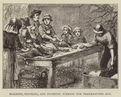 Skoldning, plukning og udplukning af kalkuner til Thanksgiving Day af George Augustus Sala
