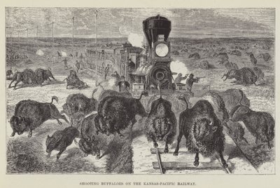Skydning af bøfler på Kansas-Pacific Railway af George Augustus Sala