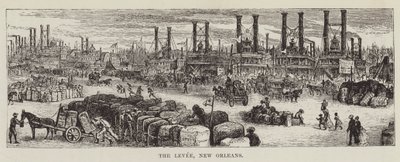 The Levee, New Orleans af George Augustus Sala