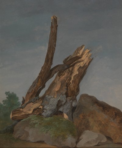 Undersøgelse af klipper og grene af George Augustus Wallis