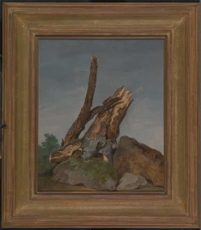 Undersøgelse af klipper og grene af George Augustus Wallis