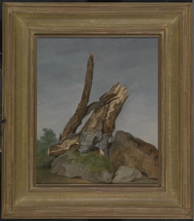 Study of Rocks and Branches, c.1795 (olie på papir) af George Augustus Wallis