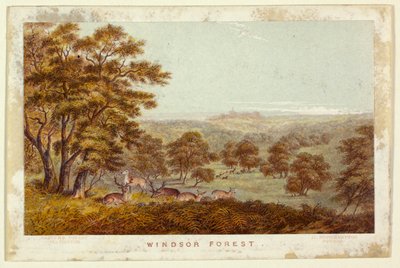  af George Baxter