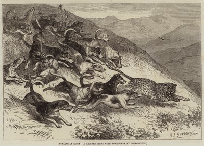 Jagt i Indien, en leopardjagt med rævehunde ved Ootacamund af George Bouverie Goddard