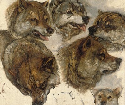 Studier af huskyer" hoveder af George Bouverie Goddard