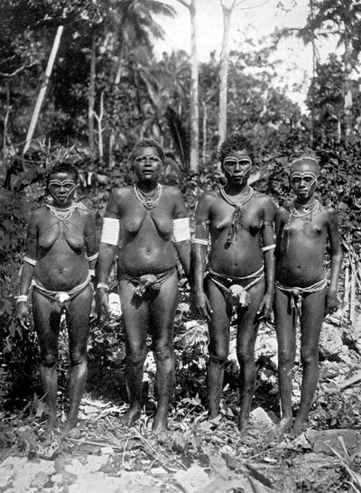 Kvinder i festivaldragt, Melanesia, 1920. af George Brown