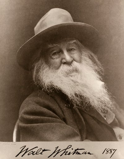 Portræt af Walt Whitman i 1887 af George C. Cox