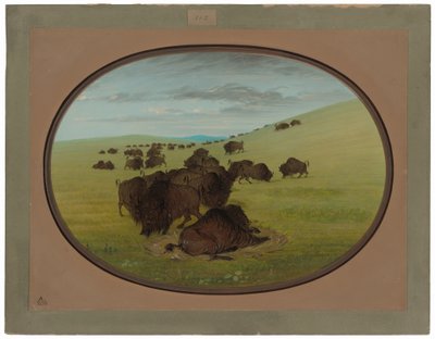  af George Catlin