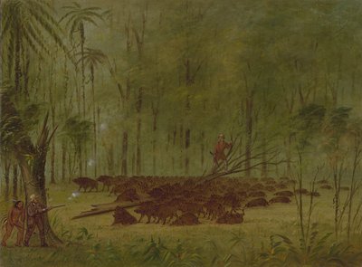 En kamp med peccaries - Caribbe, 18541869. af George Catlin