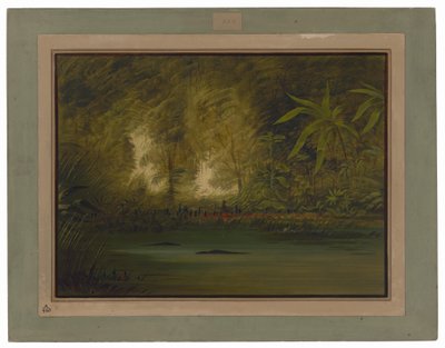 En lagune ved den øvre Amazonflod af George Catlin