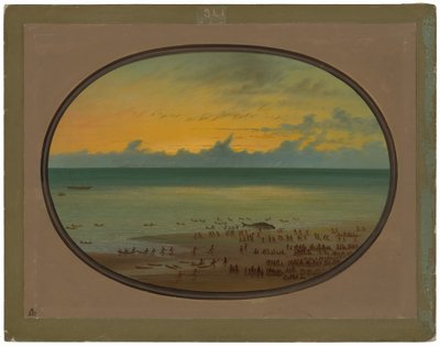 En hval i land - Klahoquat af George Catlin