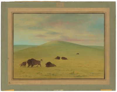 American Pasturage - Prairies of the Platte af George Catlin